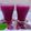 Shilpa Shah's cooksnap of when they made જાંબુ શોટ્સ (Jamun Shots Recipe In Gujarati).