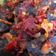 Cooksnap dari BebbyShin untuk resep DENDENG SAPI BALADO ala Pemula