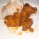 El cooksnap de margoth inostros ruiz cuando hizo Pollo chino agridulce.