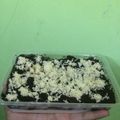 Cooksnap dari Kiki Ayu Kirana untuk resep Oreo cheese cake simple