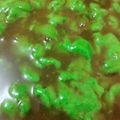 Cooksnap dari Nurleni Febriana untuk resep Bubur sum-sum Tepung ketan