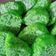 Cooksnap dari Ziphora Ch untuk resep Puding lumut