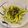 il Pierangela quando ha preparato Linguine Asparagi e Mandorle