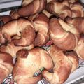 El cooksnap de rosa maria medina martinez cuando hizo Medialunas de manteca 🥐.