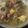 Cooksnap dari Tyamohi untuk resep Tengkleng Kambing