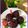 Cooksnap dari Lanjarsih/Mama Fifian ( MasakanRumahan) untuk resep Carang mas ubi ungu