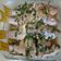 Cooksnap dari eva meylani untuk resep Chinese steamed fish (ikan ekor kuning kukus)