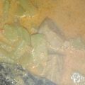 Cooksnap dari C untuk resep Sayur lodeh labu siam
