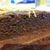 Cooksnap dari Ratih puspita sari untuk resep Brownies Tepung Singkong (Brownies Mocaf)