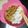 Cooksnap dari cindoot untuk resep MPASI 9M+ : Opor Hati Ayam