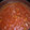 El cooksnap de Fernando Núñez cuando hizo Carne con tomate.