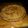 larissaoldenhof's cooksnap of when they made Amish bakery custard pie.