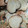 El cooksnap de Mariagabriela cuando hizo Galletas de mantequilla.
