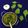 Sudipa Gope's cooksnap of when they made Dal palak (spinach dal).