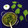 Sudipa Gope's cooksnap of when they made Dal palak (spinach dal).