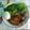 Cooksnap dari Liawati Iskandar untuk resep Ramen Indomie
