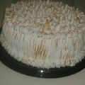 El cooksnap de Ines Radcenco cuando hizo Torta rogel.