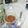 蔡惠茹 的 4種配料就能做，超簡單古早味家常滷肉 cooksnap