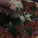 El cooksnap de Luna Rosano cuando hizo Pizza para celíacos en 5’ minutos.