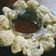 Cooksnap dari Puji untuk resep Cireng Salju enak bangeett (gluten free!)