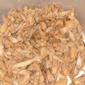 Cooksnap dari Sepur untuk resep Sate Jamur Tiram