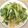 棠棠 的 腐乳青江菜 cooksnap