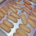 Cooksnap dari Selly Monshi untuk resep Lady Fingers homemade (base of tiramisu)