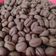Cooksnap dari Lucy untuk resep Coffee Bean Cookies