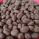Cooksnap dari Lucy untuk resep Coffee Bean Cookies