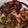 lilwiggler1058's cooksnap of when they made Cast Iron Pork Chops with Onions & Mushrooms.