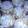 trophywife's cooksnap of when they made Lemon Snowflake Cookies.