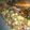 Farwa Ali's cooksnap of when they made Mix sabzi.