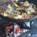 El cooksnap de RamiroTSerra cuando hizo Pollo y vegetales al disco de arado.