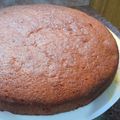 El cooksnap de Noelia Bellocq cuando hizo Torta Matera fácil rica y económica.