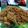 Cooksnap NUR AIZA semasa beliau membuat Bihun goreng.