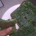 El cooksnap de Claudia Milena cuando hizo Torta licuada de espinaca, jamón y queso.