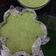 Cooksnap dari Fie_dy untuk resep Bingka Kayapu