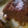 El cooksnap de Piery Nicola cuando hizo Bizcochuelo de chocolate sin huevo.