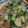 Cooksnap dari Rully Indah untuk resep Dori (patin) Steam Hongkong