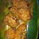 Cooksnap dari Hesti Dwi Saputri untuk resep Ayam Goreng ala KFC (step by step)