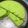 Cooksnap dari bang gam untuk resep Bolu pandan magicom simple