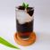 Cooksnap dari Nay's Kitchen untuk resep Es Cincau Hitam (Janggelan)