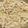 kinjan Mankad's cooksnap of when they made વ્હાઈટ સોસ પાસ્તા(white pasta recipe in gujarati).