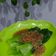 Cooksnap dari marianaevi untuk resep Pokcoy Garlic Saus Tiram
