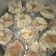 Cooksnap dari Sally Irvina Ritonga untuk resep Somay Udang Ayam sederhana