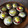 El cooksnap de Mari Carmen Alonso cuando hizo Champiñones rellenos con huevos de codorniz al horno.