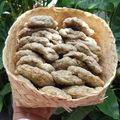 Cooksnap dari Tituk SK untuk resep Pempek Kulit Ikan Tenggiri khas Palembang