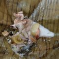 Cooksnap dari Tika untuk resep Garang Asem (Sayap Ayam)