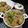 Swati Bharadwaj's cooksnap of when they made চিকেন বিরিয়ানি (Chicken Biriyani Tamil style recipe in Bengali,).