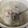動物園飼料班班長 的 干貝白菜雞湯 cooksnap
